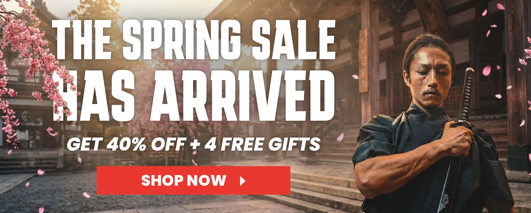 Master Your Favorite Anime Legend